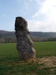 1 vue (ouvre la visionneuse)