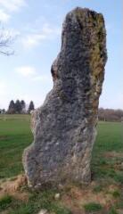 1 vue (ouvre la visionneuse)