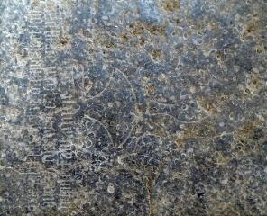 1 vue (ouvre la visionneuse)