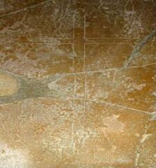 1 vue (ouvre la visionneuse)