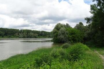 1 vue (ouvre la visionneuse)