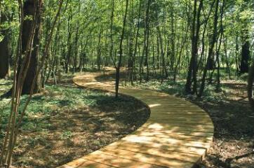 1 vue (ouvre la visionneuse)