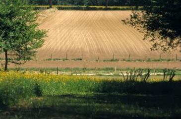 1 vue (ouvre la visionneuse)