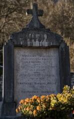 1 vue (ouvre la visionneuse)