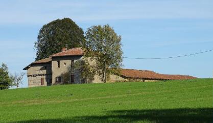 1 vue (ouvre la visionneuse)