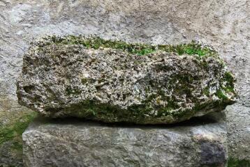 1 vue (ouvre la visionneuse)