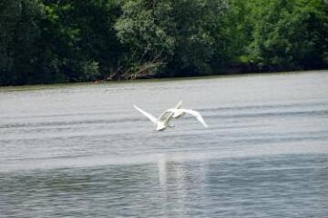 1 vue (ouvre la visionneuse)