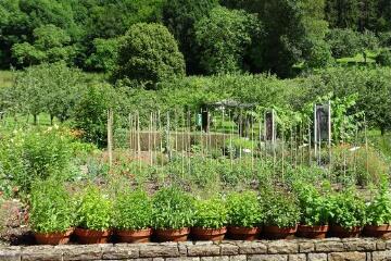 1 vue (ouvre la visionneuse)