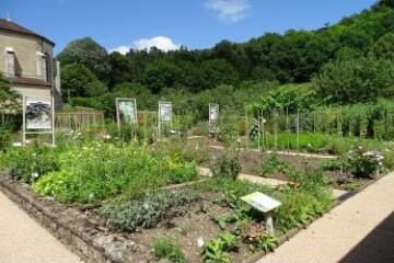 1 vue (ouvre la visionneuse)