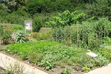 1 vue (ouvre la visionneuse)