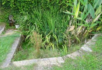 1 vue (ouvre la visionneuse)