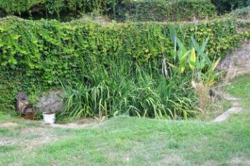 1 vue (ouvre la visionneuse)