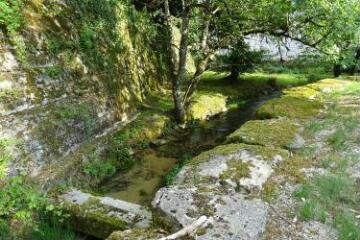 1 vue (ouvre la visionneuse)