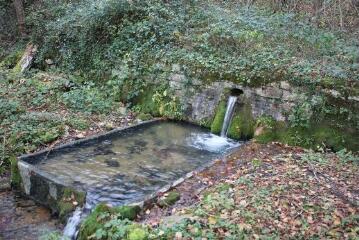 2 vues - Source des Guyottes (ouvre la visionneuse)